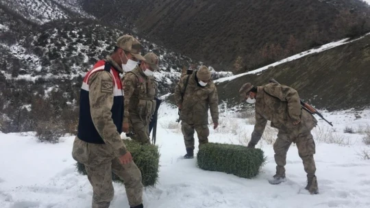 Elazığ'da jandarma, yaban hayatı için doğaya yem bıraktı