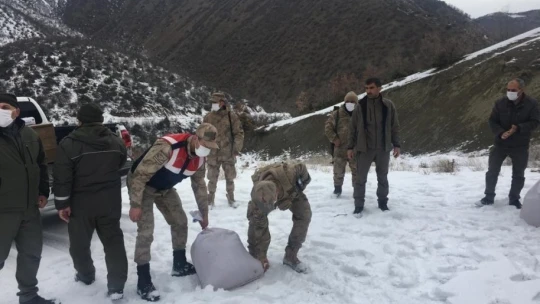 Elazığ'da jandarma, yaban hayatı için doğaya yem bıraktı