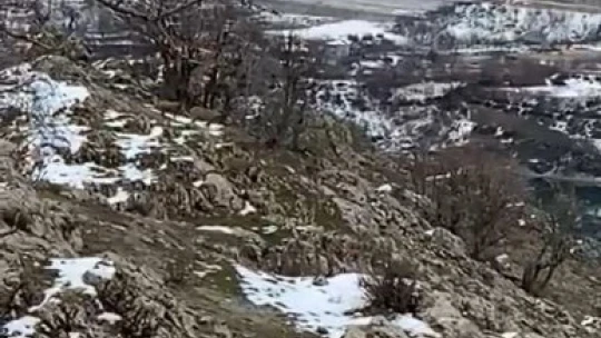 Elazığ'da jandarma, yaban hayatı için doğaya yem bıraktı