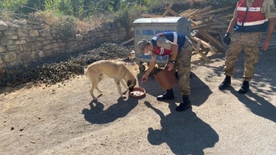 Elazığ'da jandarmadan 4 Ekim Hayvanları Koruma Günü etkinliği