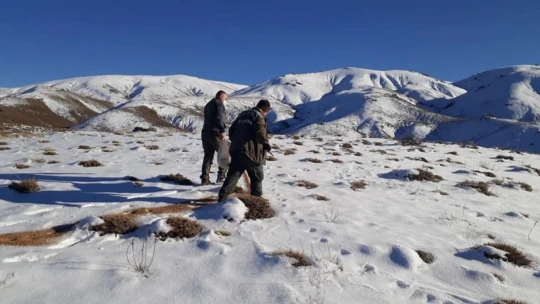 Elazığ'da kaçak avla mücadele ve yaban hayvanlarına yem desteği