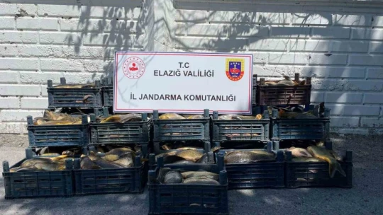 Elazığ'da kaçak balık avı yapan 3 şahsa, 49 bin lira ceza