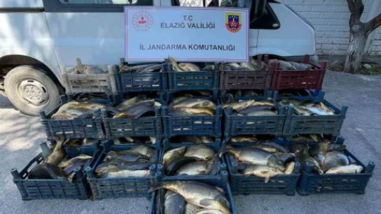 Elazığ'da kaçak balık avı yapan 3 şahsa, 49 bin lira ceza