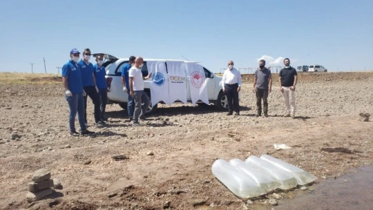 Elazığ'da Kalecik Barajı'na 5 bin sazan yavrusu bırakıldı