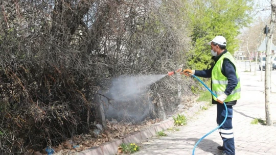 Elazığ'da kapsamlı temizlik,ilaçlama ve bakım çalışması