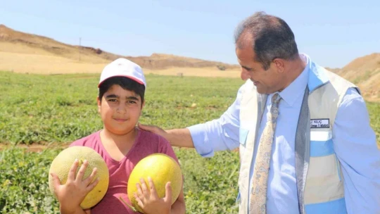 Elazığ'da kavun rekoltesi yüzleri güldürdü