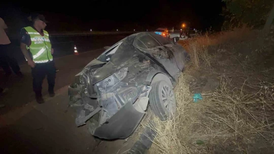 Elazığ'da kontrolden çıkan araç yoldan çıktı: 2'si ağır 3 yaralı
