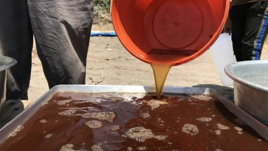 Elazığ'da köylerde doğal pekmez yapımı başladı