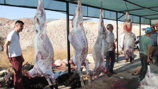 Elazığ'da namazdan çıkan vatandaşlar kurbanlarını kesti