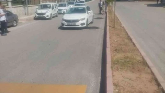 Elazığ'da otomobilin çarptığı genç kız hayatını kaybetti
