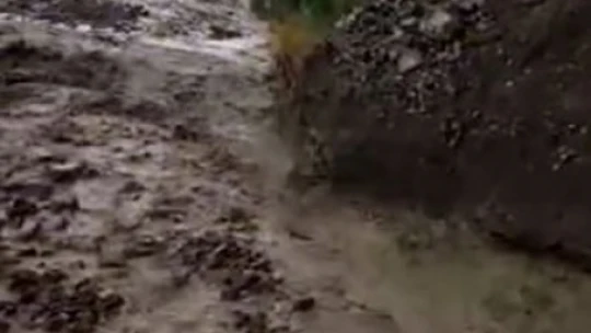 Elazığ'da sağanak yağış sele neden oldu