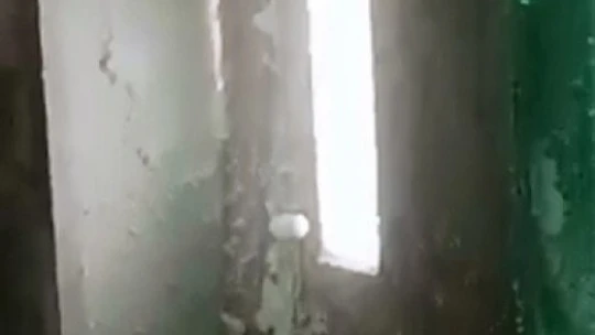 Elazığ'da Şaşırtan Manzara, Evlerin İçi Karla Doldu