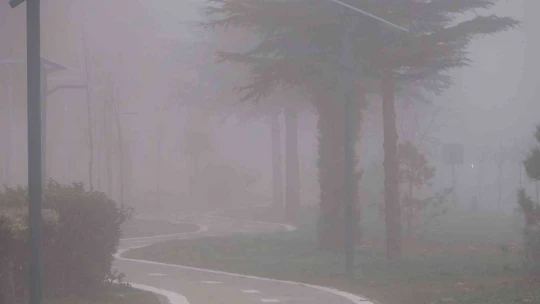 Elazığ'da sis etkili oldu