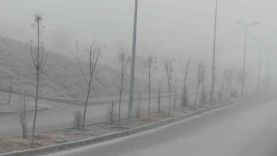 Elazığ'da sis etkili oldu