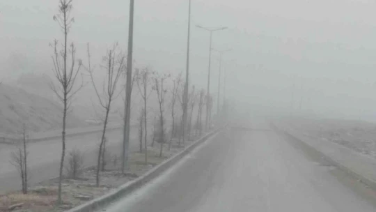 Elazığ'da sis etkili oldu