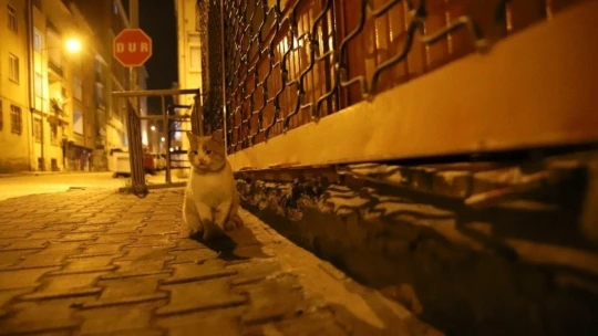 Elazığ'da sokağa çıkma kısıtlaması