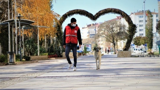 Elazığ'da sokağa çıkma kısıtlamasında 80 gönüllü kan verdi