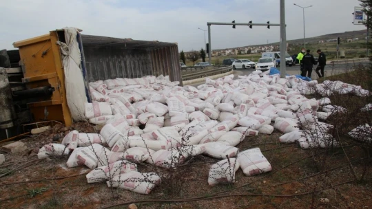 Elazığ'da tır refüje çarpıp devrildi, sürücü yaralandı
