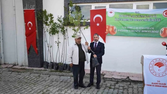 Elazığ'da Trabzon hurması fidan dağıtımı gerçekleşti