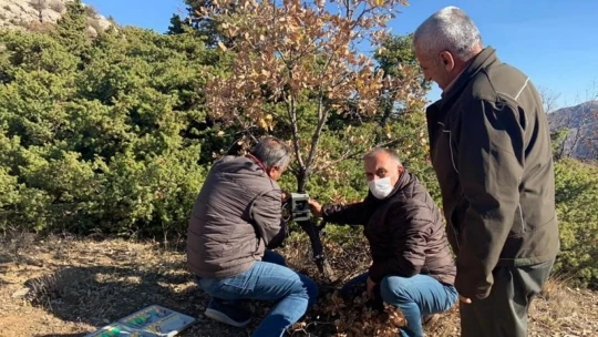 Elazığ'da yaban hayatı ve kaçak avcılar, fotokapanlarla tespit ediliyor