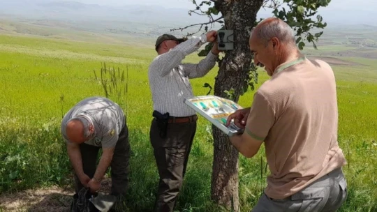 Elazığ'da yaban hayatını görüntüleyen fotokapanların bakımı yapıldı