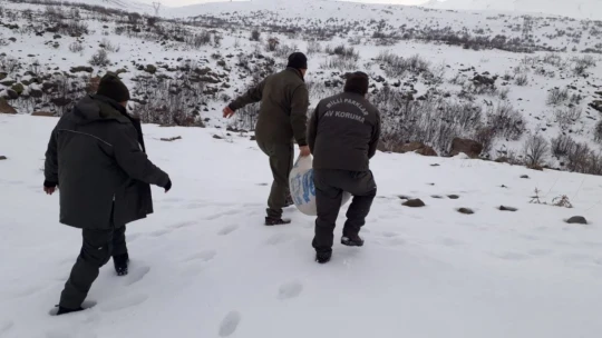 Elazığ'da yaban hayvanları için doğaya yem bırakıldı