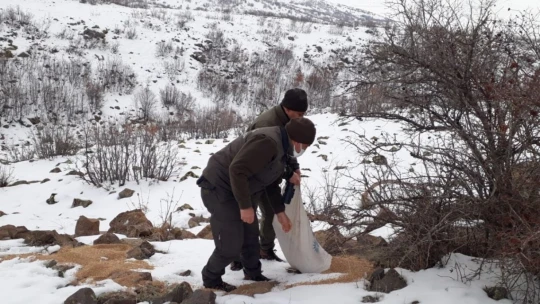 Elazığ'da yaban hayvanları için doğaya yem bırakıldı