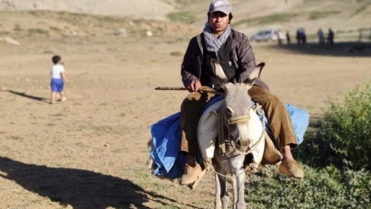 Elazığ'da yaylacılar dönüş hazırlığına başladı