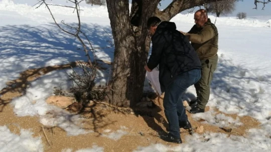 Elazığ'da yemleme çalışmaları sürüyor