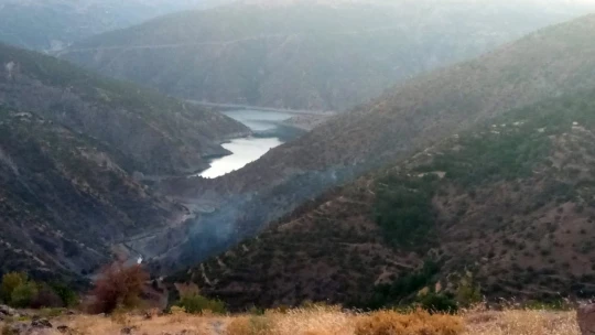 Elazığ'daki orman yangını söndürüldü
