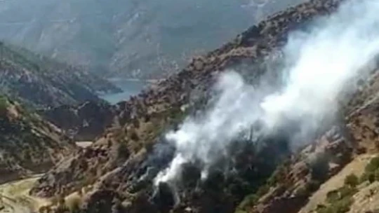 Elazığ'daki Orman Yangınına Yönelik Müdahale Sürüyor