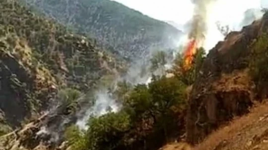 Elazığ'daki Orman Yangınına Yönelik Müdahale Sürüyor