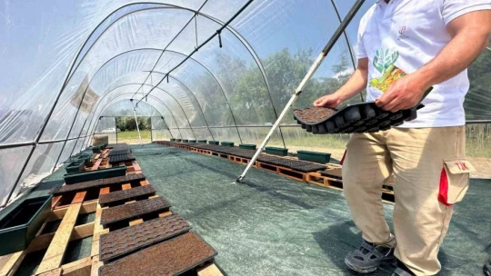 Elazığ Hipodrom Müdürlüğünün üreteceği binlerce çiçek hipodromları renklendirecek