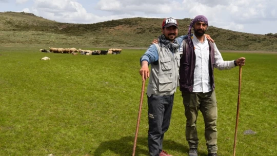 Elazığ'ın 2 bin rakımdaki kalp gölü Bervi kurudu, hayvanlara otlak oldu
