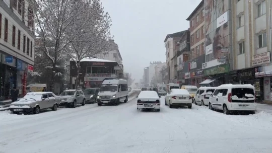 Elazığ'ın ilçelerinde kar yağışı etkili oldu