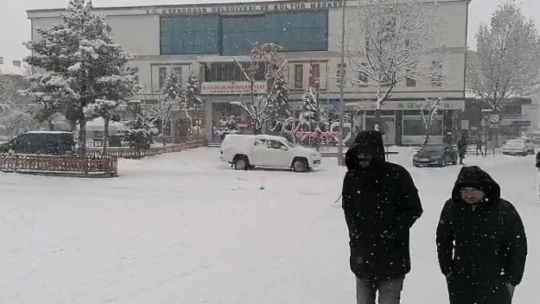 Elazığ'ın ilçelerinde kar yağışı etkili oldu
