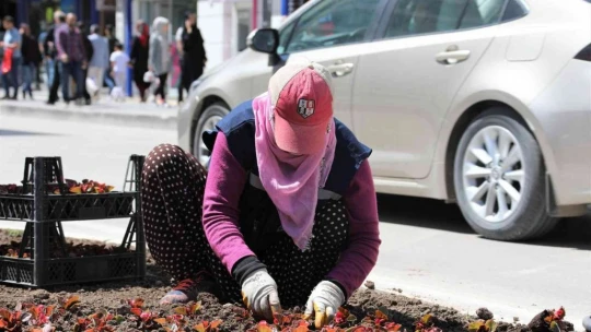 Elazığ, kadın eliyle güzelleşiyor