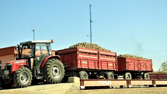 Elazığ Şeker Fabrikası pancar alım kampanyasını başlattı