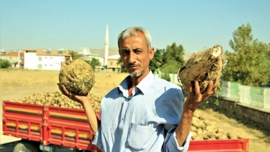 Elazığ Şeker Fabrikası pancar alım kampanyasını başlattı