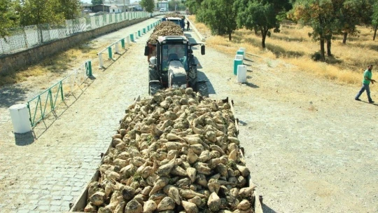 Elazığ Şeker Fabrikası pancar alım kampanyasını başlattı
