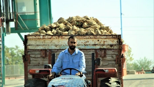 Elazığ Şeker Fabrikası pancar alım kampanyasını başlattı