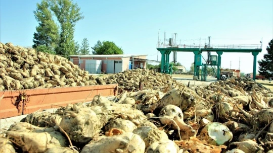Elazığ Şeker Fabrikası pancar alım kampanyasını başlattı