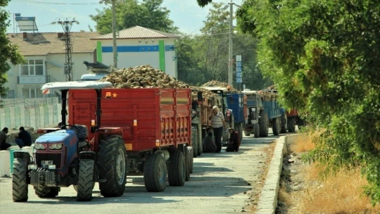 Elazığ Şeker Fabrikası pancar alım kampanyasını başlattı