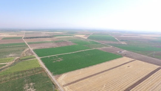 Elazığ ve Malatya'da bu yıl 87 bin 543 hektar alanda toplulaştırma yapıldı