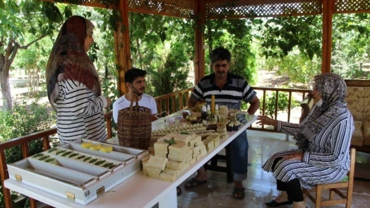 Ev hanımı yaptı, bahçe değil üretim merkezi