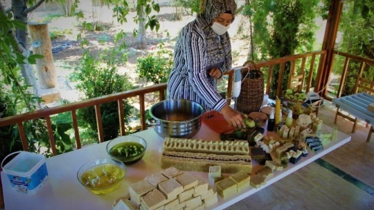 Ev hanımı yaptı, bahçe değil üretim merkezi