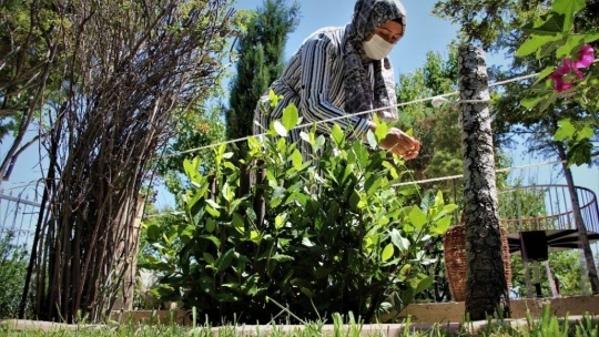 Ev hanımı yaptı, bahçe değil üretim merkezi