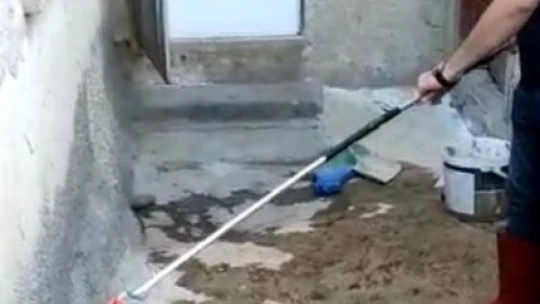 Kovancılar'da Eve Giren Yılanı Ekipler Çıkardı