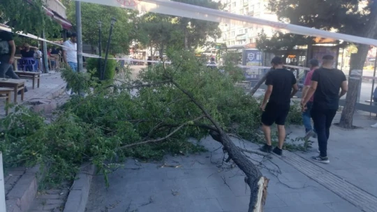 Elazığ'da Şiddetli Fırtına Ağaç Devirdi, 1 Kişi Yaralandı