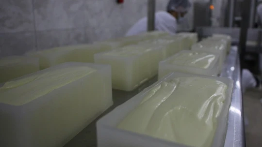 Genç girişimci, devletin desteğiyle 14 milyonluk yatırım yaptı